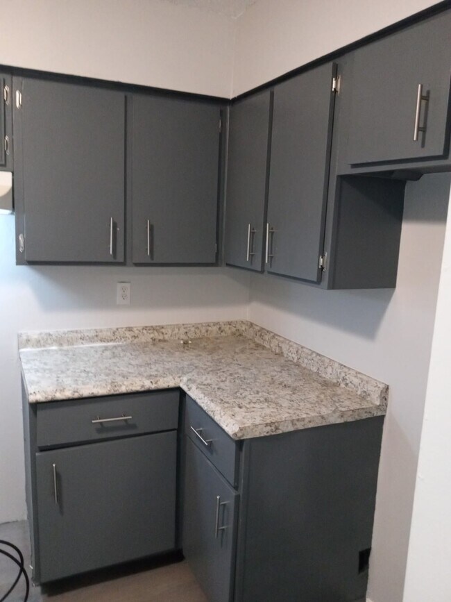 Building Photo - 3350 Kirby Trees Pl