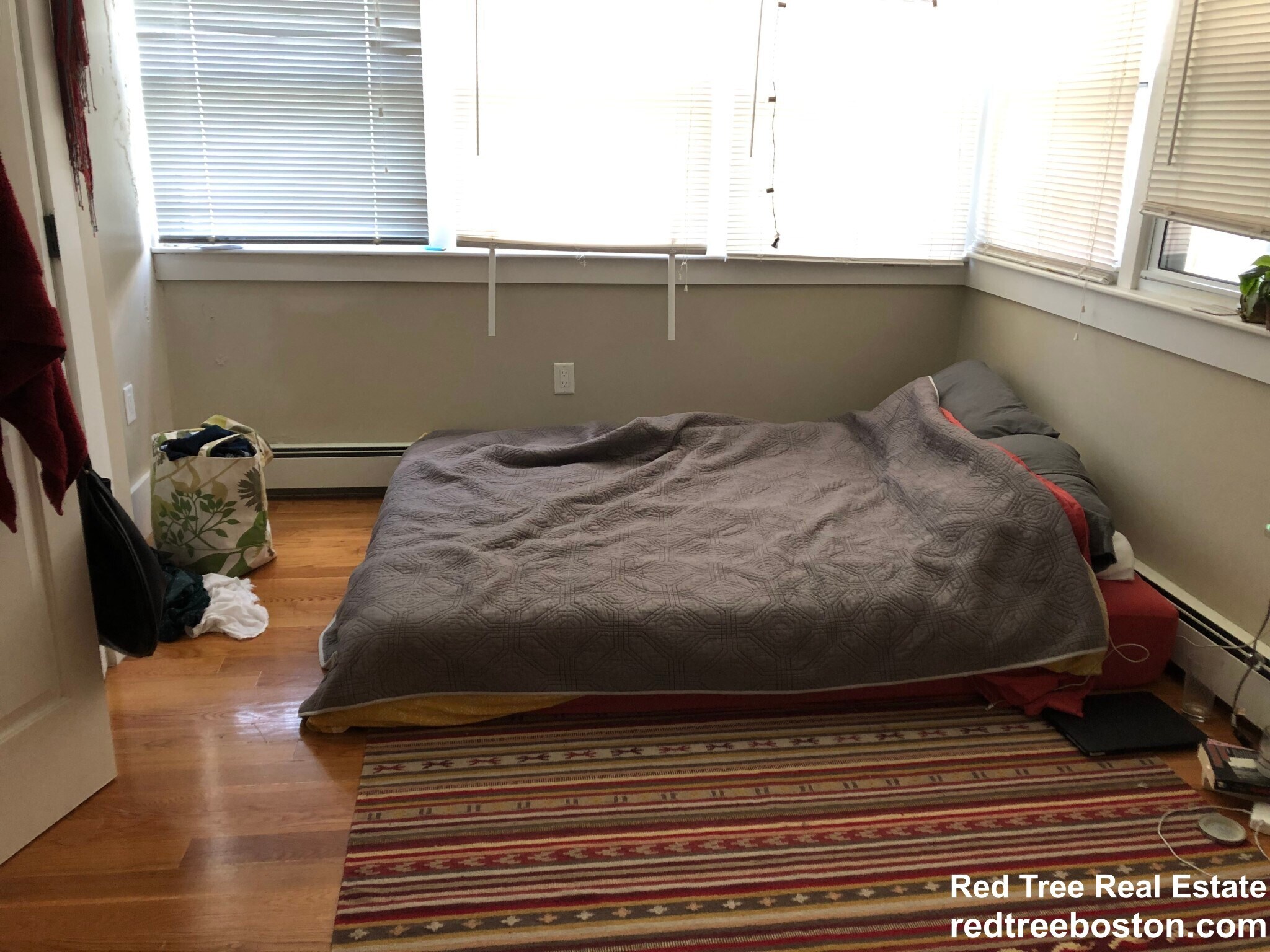 Building Photo - 175 Princeton St