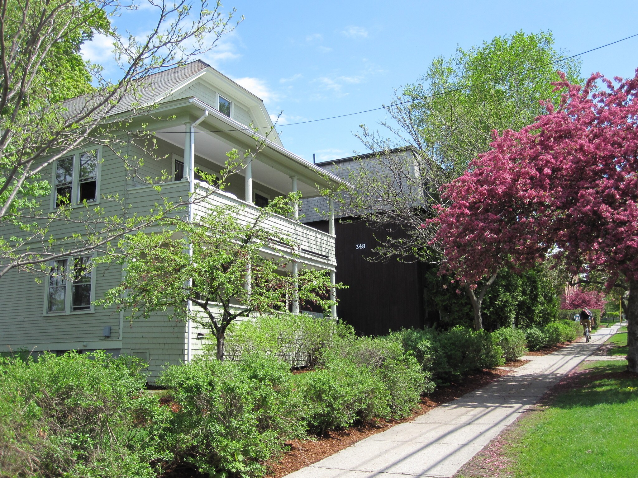 Building Photo - 334 College St