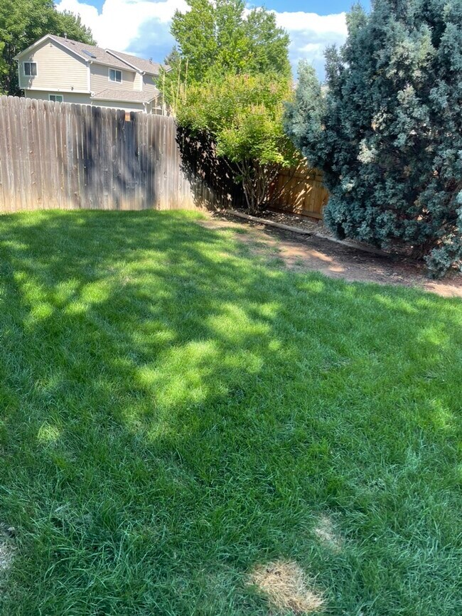 Yard Back - 27 Centaur Ct