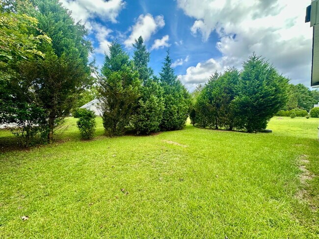 Building Photo - Three Bedroom Updated Single Level Home in...