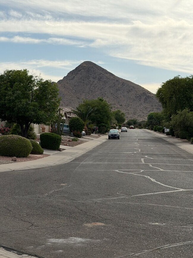 Building Photo - 4 Bedroom on Large Lot in Queen Creek