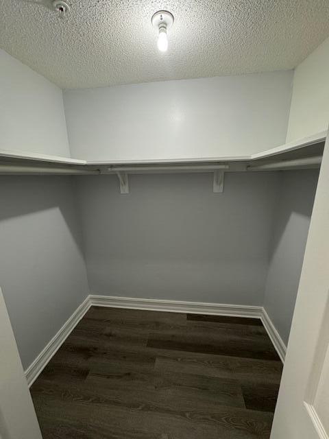 Building Photo - 10431 NW 36th St