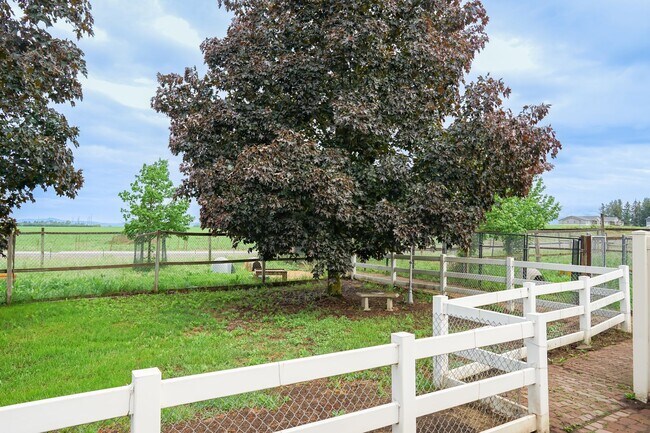 Building Photo - Mini "Ranch" in Hayden