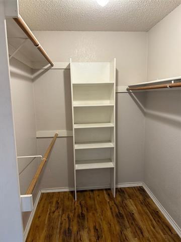 Building Photo - 2950 Volga Ct
