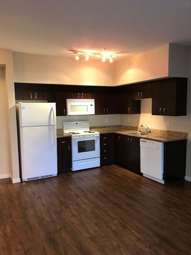 Interior Photo - Cathedral Park