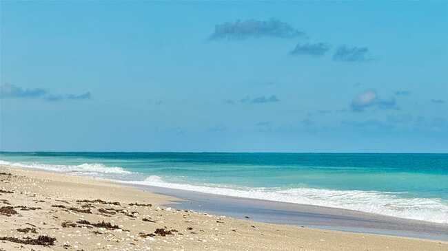 Building Photo - 1229 SW San Antonio Ave