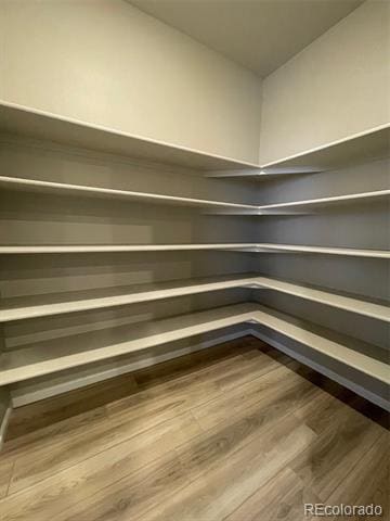 Building Photo - 2310 Shoshone Pl