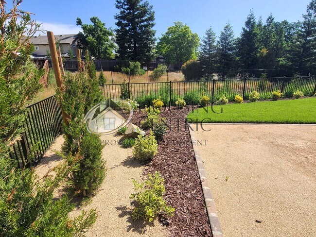 Building Photo - Exceptional Newer Construction Executive Rental in El Dorado Hills