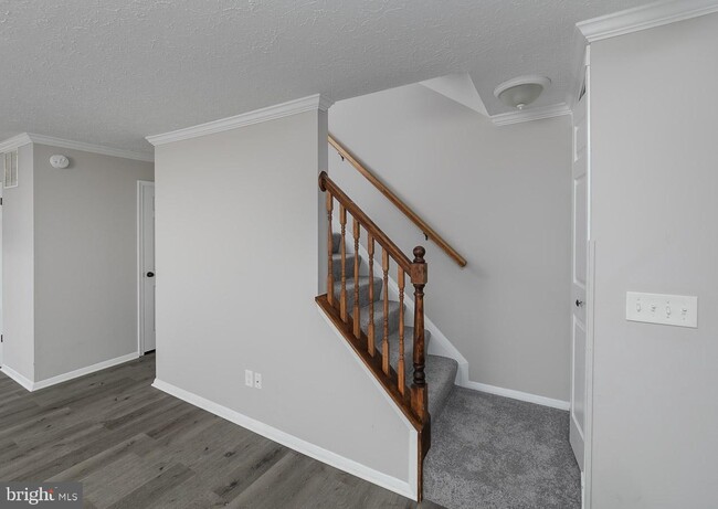 Building Photo - 31 Stone Falls Ct