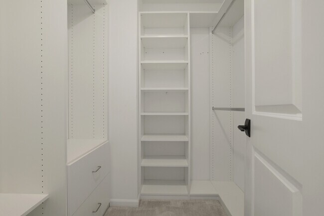 Building Photo - 316 Timberleaf Cir