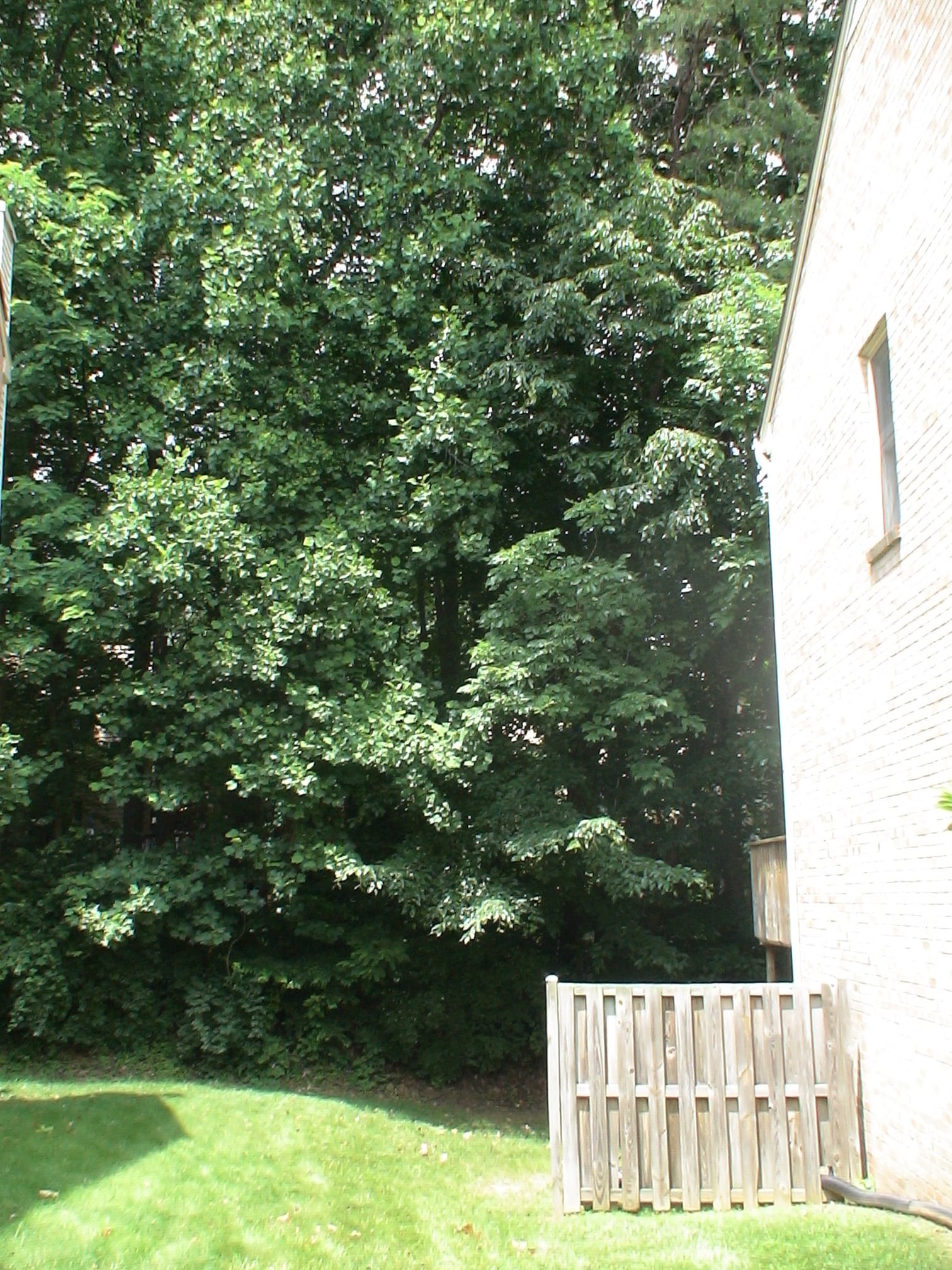 Building Photo - 10651 Pine Haven Ter