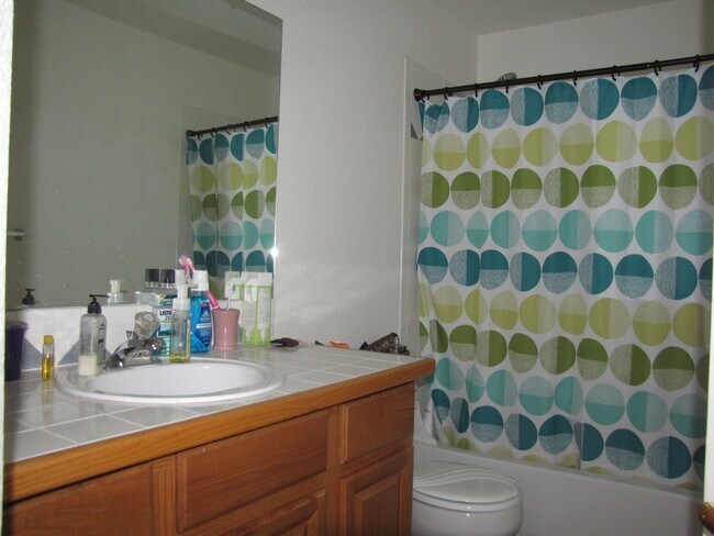 Building Photo - 1248 Dream Lake Ct