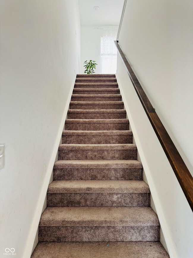 Building Photo - 7438 Brayton Ct