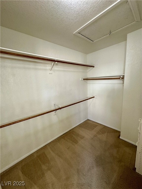 Building Photo - 3377 Frisco Bay Cir