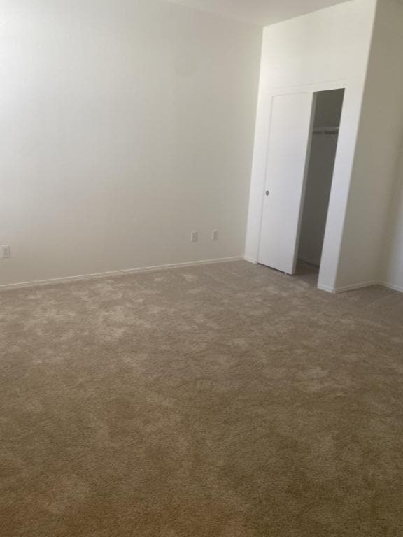 Building Photo - 310 W McCoy Ln