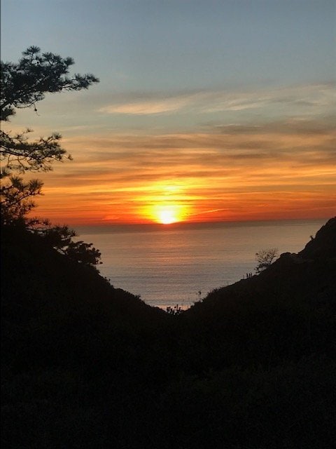 Building Photo - 14073 Mira Montana Dr