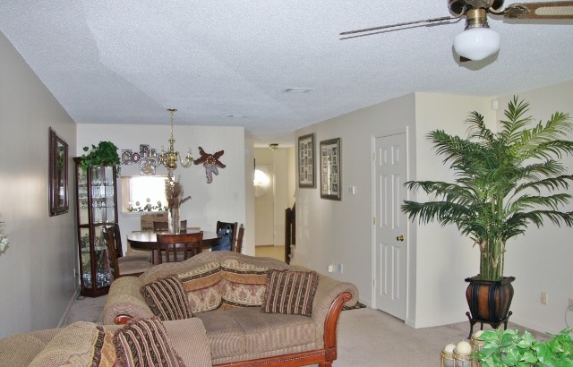 Primary Photo - 14 Landview Ct