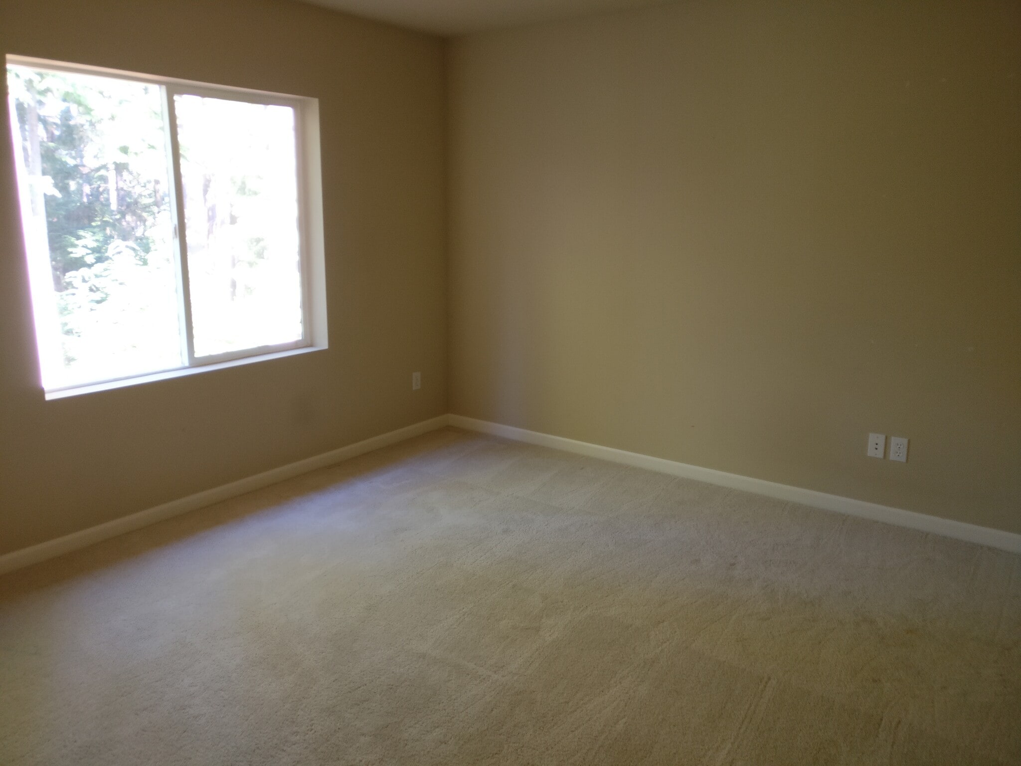 Guest Bedroom 1 - 8729 233rd Pl NE