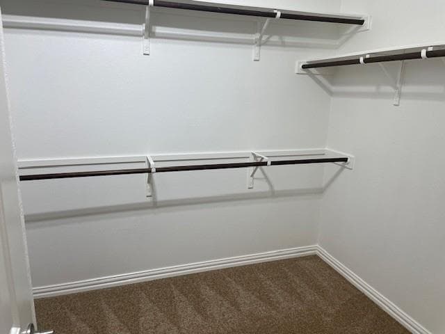 Building Photo - 10004 Epic Knoll Dr