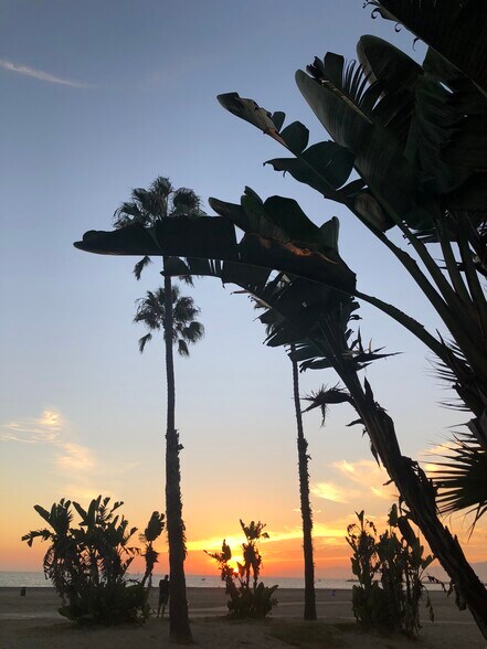 Beautiful sunsets - 7301 Vista del Mar
