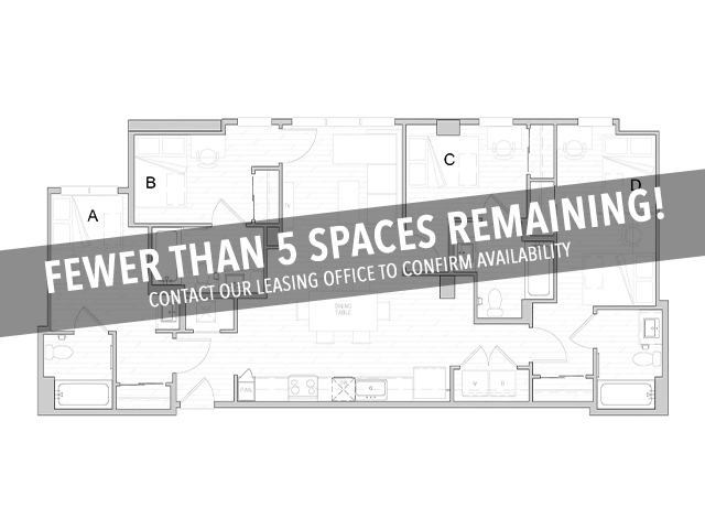 D6 - Fewer Than 5 Spaces Remaining! - Identity Davis Student Apartments