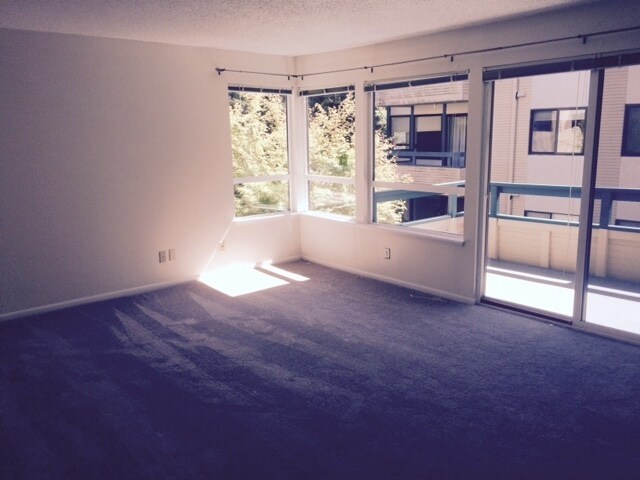 Building Photo - Beautiful Richmond Beach Condo