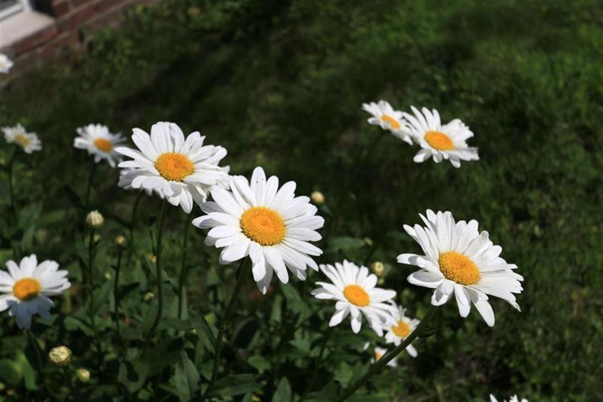 Building Photo - 128 Pine St