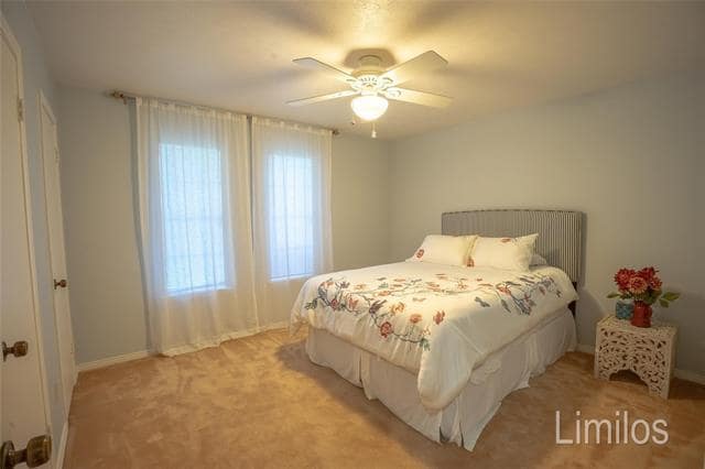 Building Photo - 2733 Biloxi Ln