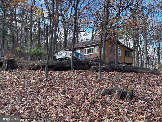 Building Photo - 132 Pinecrest Ln