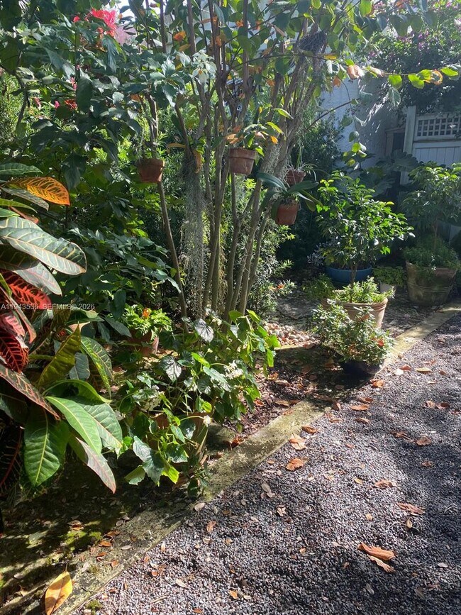 Building Photo - 1321 Asturia Ave