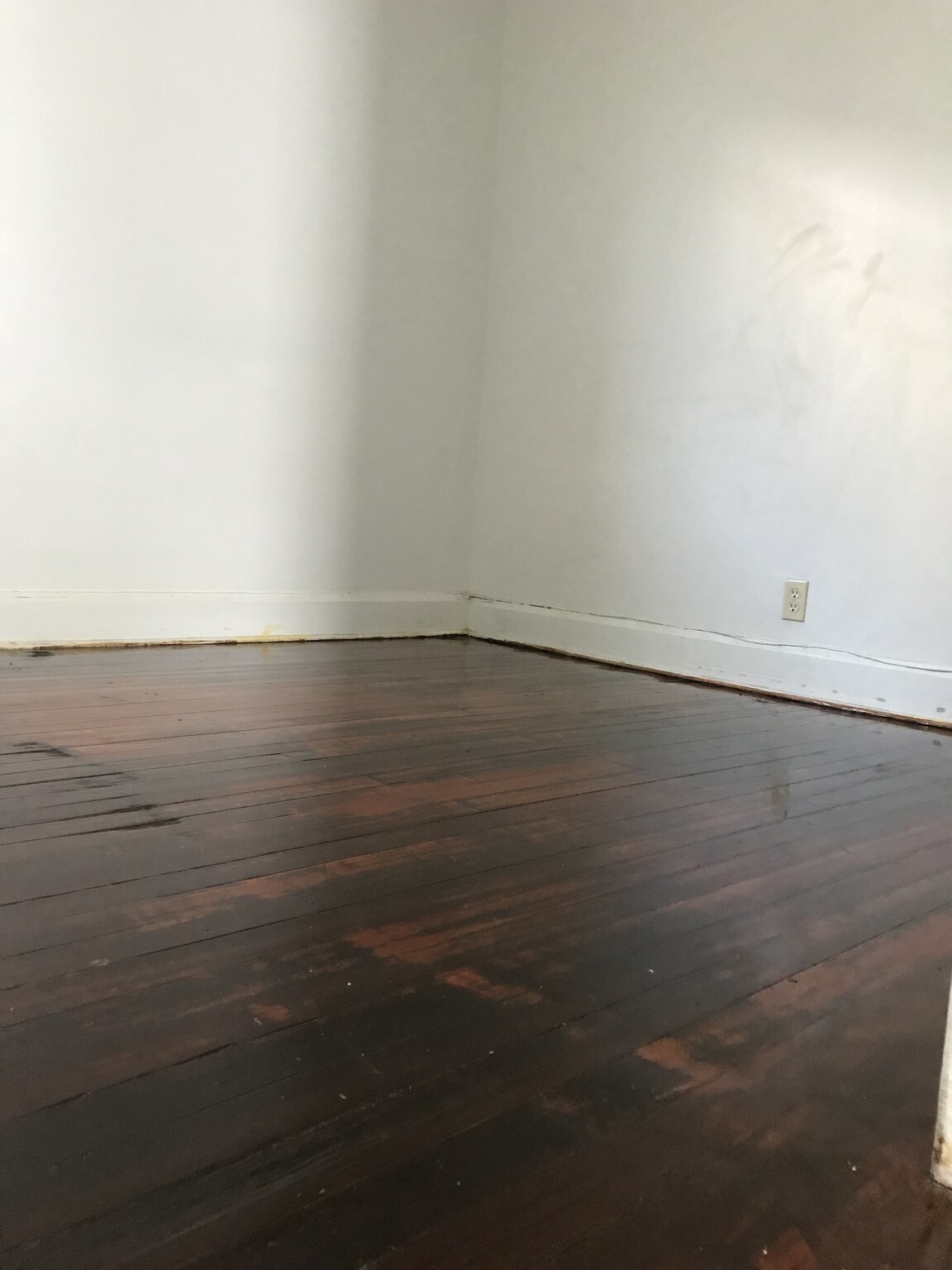 Building Photo - 639 Morris St