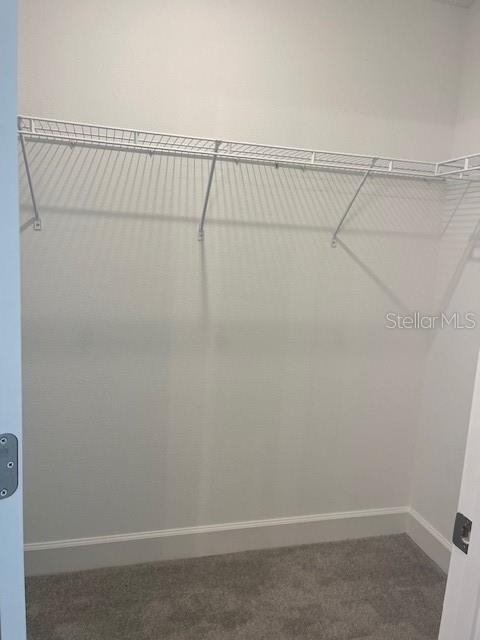 Building Photo - 241 Grifford Dr