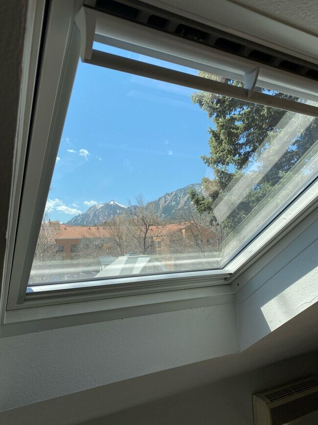 Building Photo - Cozy and Recently Updated 1BR with Firepla...