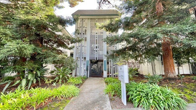 Building Photo - Alameda Apartments