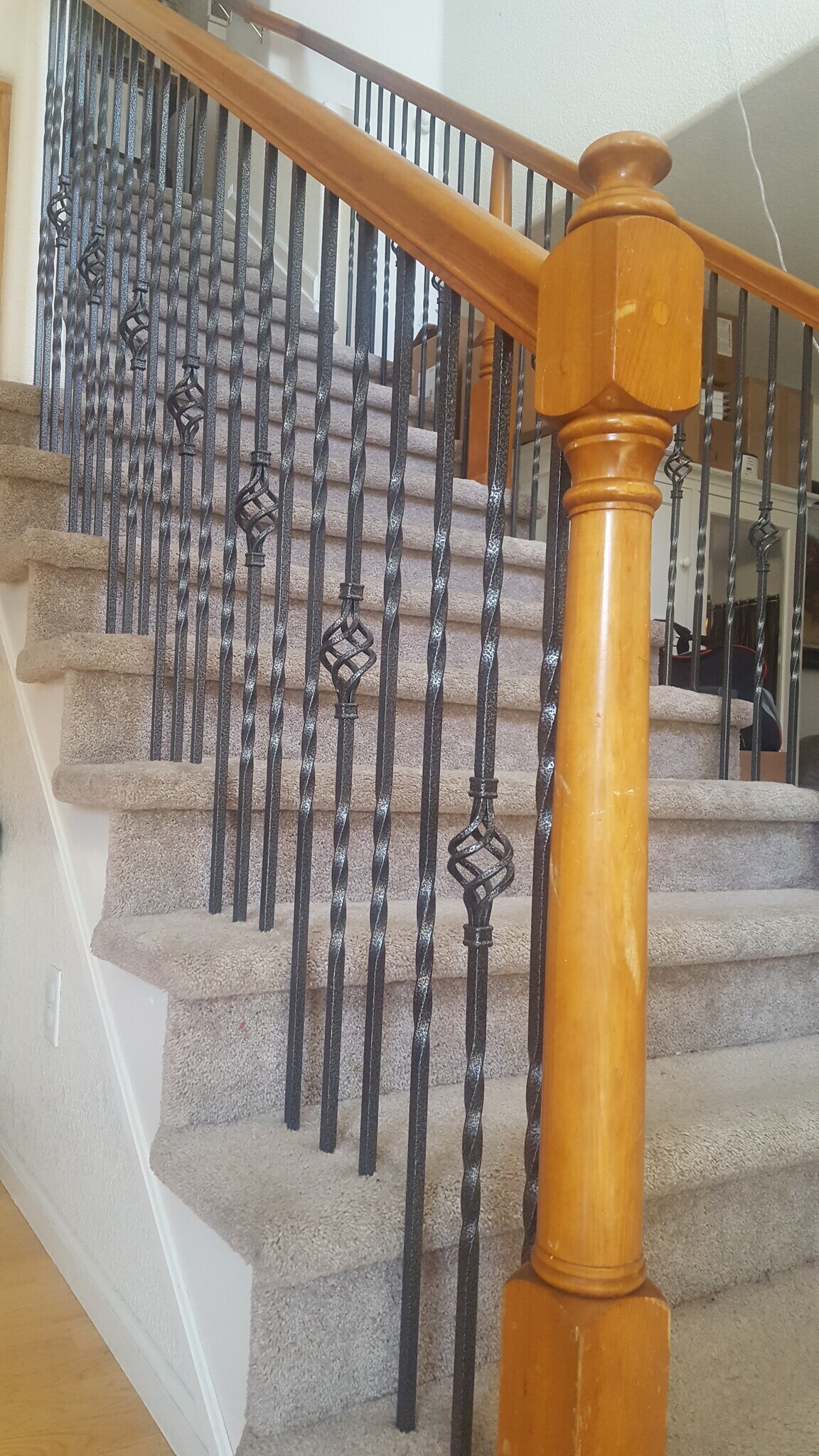 Building Photo - 4877 Halifax Street