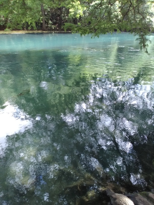 Building Photo - 822 Alabama St