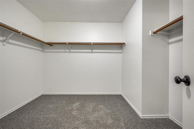 Building Photo - 1617 Carolina Ridge Way