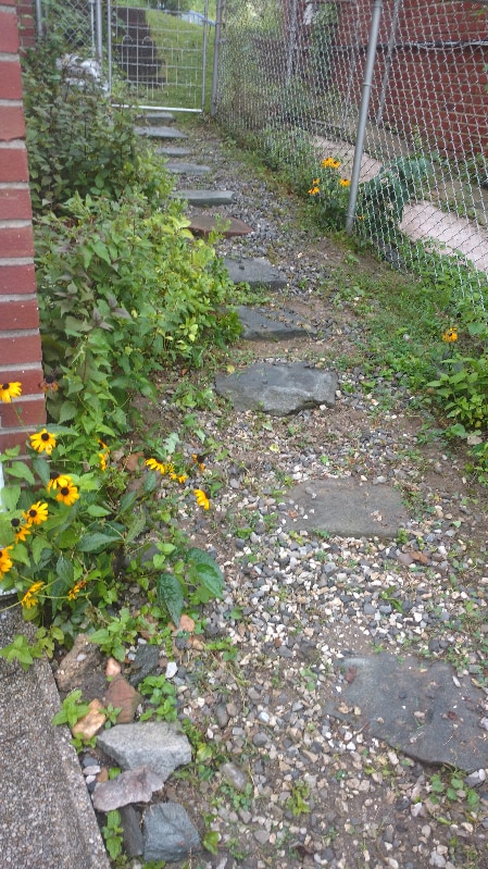 Building Photo - 6416 2nd Pl NW