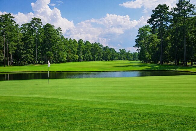 Building Photo - 25307 Piney Bend Ct