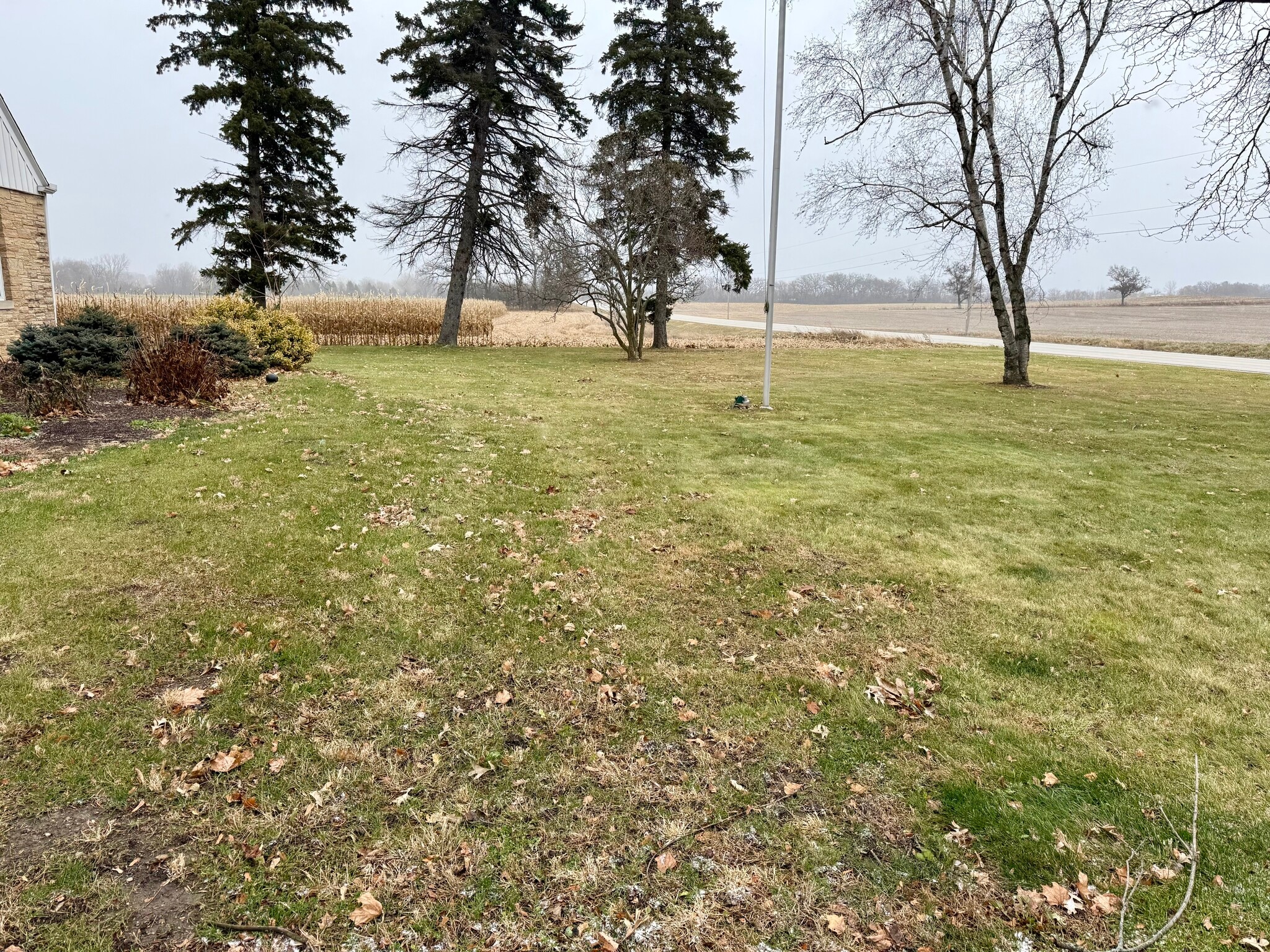 Front Yard - 21834 Northcape St