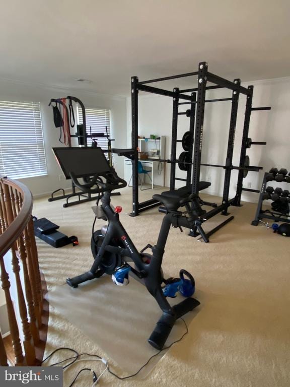 Building Photo - 5430 Ashleigh Rd