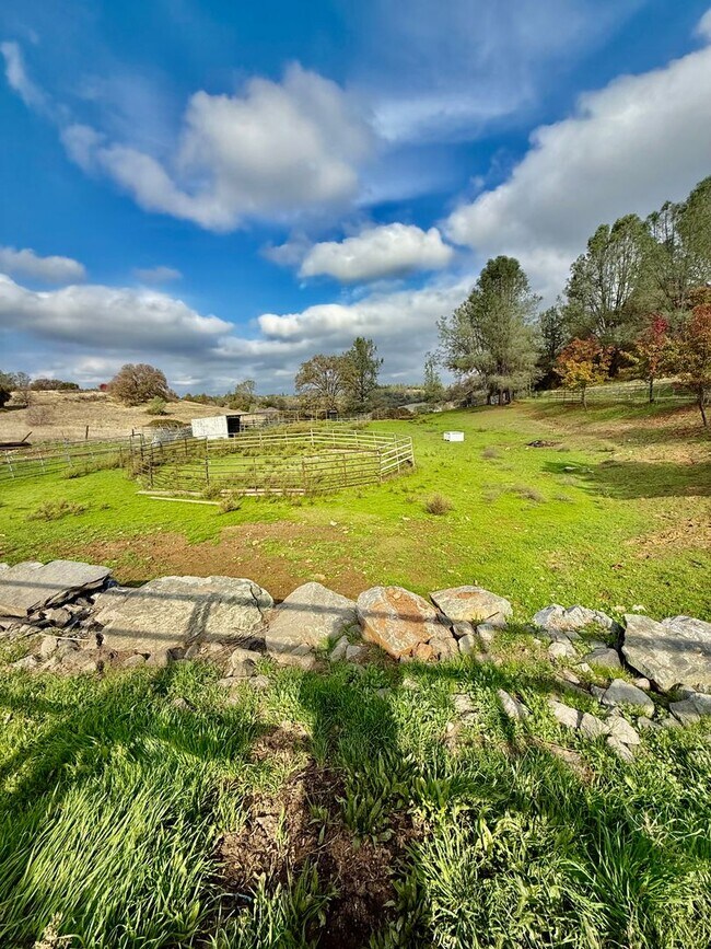 Building Photo - Unique Horse property with 2 units