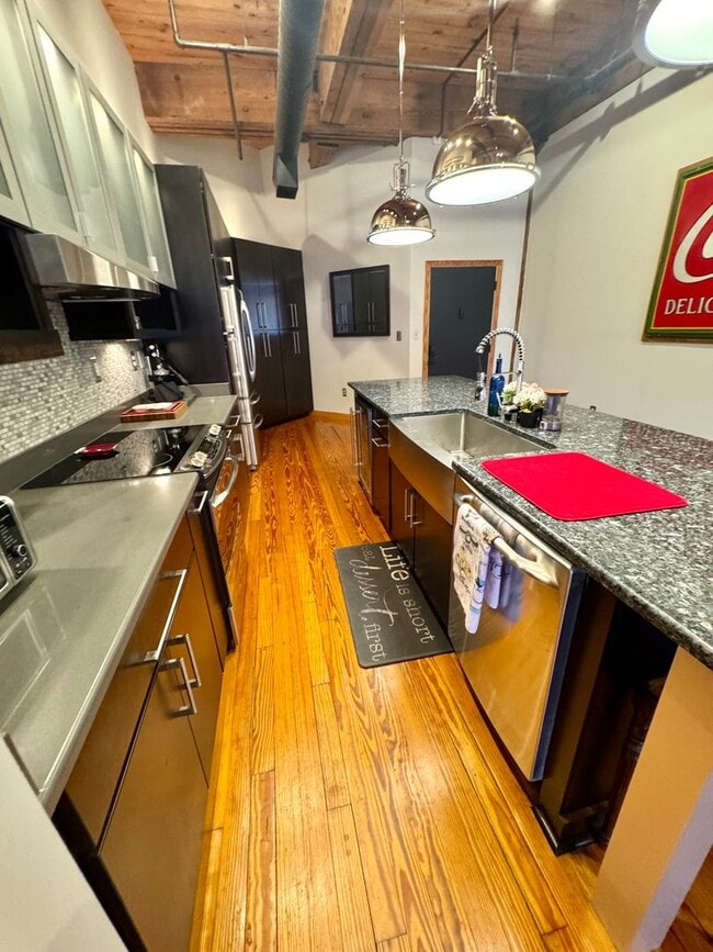 Building Photo - Stunning Fully Furnished Loft in the Heart of Norfolk