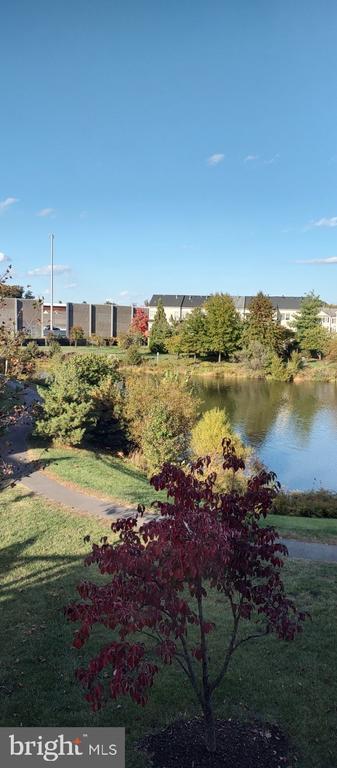 Building Photo - 13568 Lavender Mist Ln