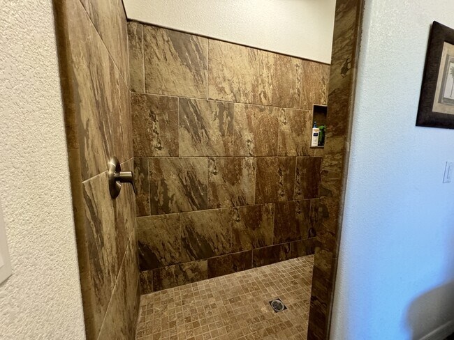 Building Photo - 2539 Bora Trl