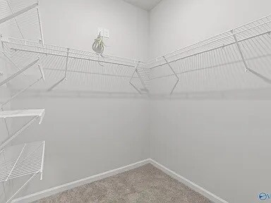 Building Photo - 113 Striker Ln