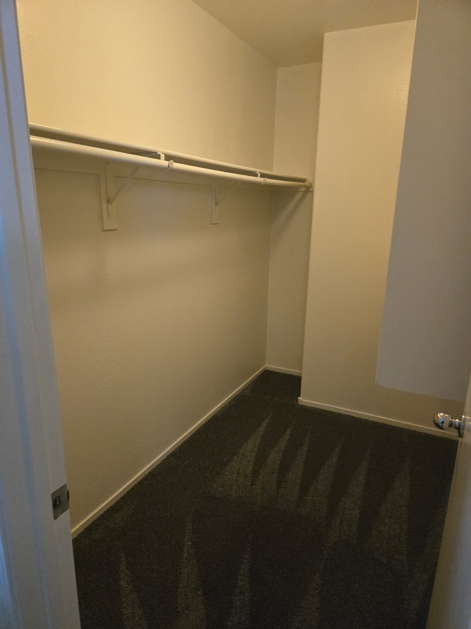 Building Photo - 8007 Torremolinos Ave