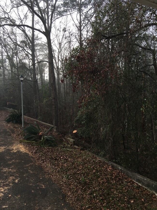 Building Photo - 2/2/ Walking Distance To Capital Regional ...