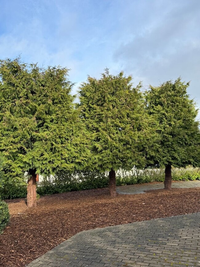 Building Photo - Location! Location! Your fully furnished Cairn Cottage is located in Coupeville! $200 MOVE IN CRE...